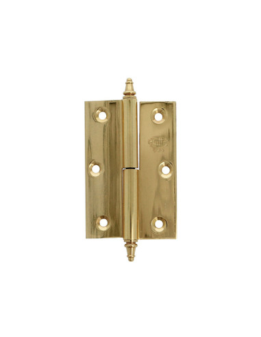 BISAGRA 1007 120x80 LATON PULIDO AMIG
